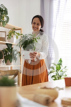Mature woman with beautiful houseplant. Engaging hobby