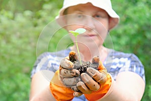 Mature woman gardener or farmer with small green plant sprout in her hands on nature background