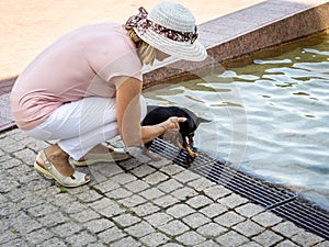 Mature woman in a hat with a small dog resting in the Park