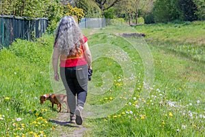 Mature woman with her brown dachshund walking between green grass and a stream