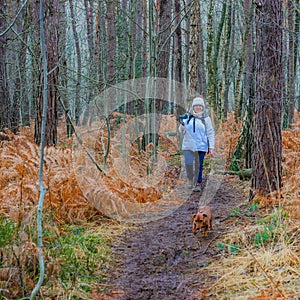 Mature woman with her dog walking between a trail and filming in the forest