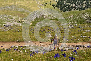 Mature woman hiking in the Pyrenees mountains