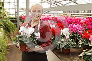 Mature woman holding pot with blooming flower