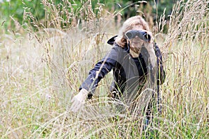 Mature woman looks through binoculars in high grass, bird watcher, copy space