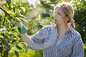 Mature woman looks after trees in her orchard