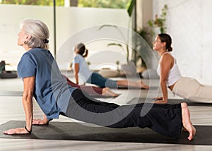 Mature woman performing Bhujangasana or Cobra pose during yoga class with female group in fitness studio