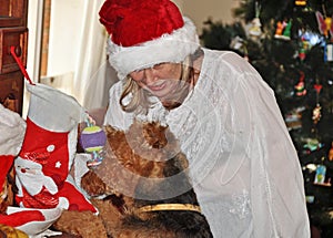 Mature woman and pet dog opening stocking Christmas morning