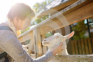 Mature woman petting goat. People in petting zoo. Person having fun in farm with animals