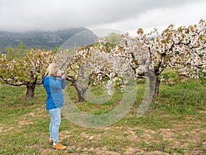 Mature woman photographing trees in landscape of fields with cherry trees in flowering season