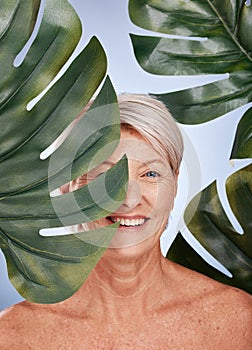 Mature woman, skincare or body care leaf in studio healthcare, organic dermatology treatment or vegan face makeup