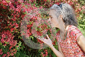 Mature woman smelling on flowering bush