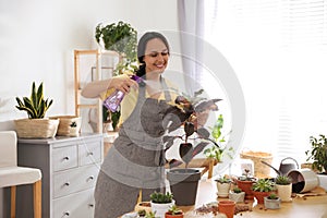 Mature woman spraying houseplant. Engaging hobby