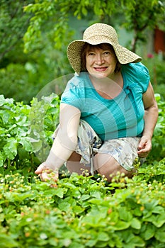 Mature woman in strawberry plant