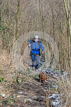 Mature woman walking along a path with her dachshund with her mobile phone gimbal in hand