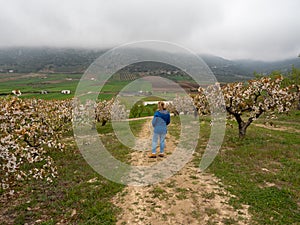 Mature woman walking in landscape of fields with cherry trees in flowering season
