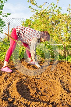 Mature woman working in the garden.