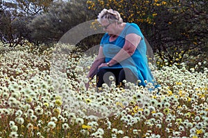 A mature women in a blue dress and slack sits and admires a field of white Everlasting Wildflowers in the outback of Western