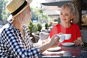 Mature women with cups of coffee talking at table in open cafe on sunny day