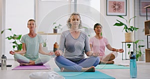 Mature women meditating in lotus pose in zen yoga class. Diverse group of yogis sitting together on mats, legs crossed