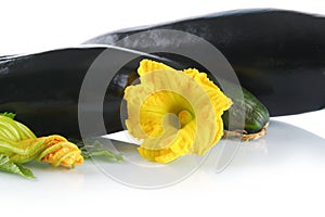 Mature zucchinis with flowers on white background