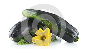 Mature zucchinis with flowers on white background