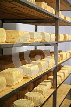 Maturing cheese storehouse