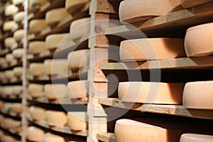 Maturing of cheese wheels on traditional wood shelves, Jura, France