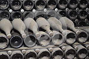 Maturing in dusty champagne bottles in wine cellars Winery
