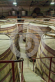 Maturing and lagering barrels at Destileria Capel, Vicuna, Chile photo