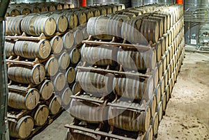 Maturing and lagering kegs at Destileria Capel, Vicuna, Chile photo