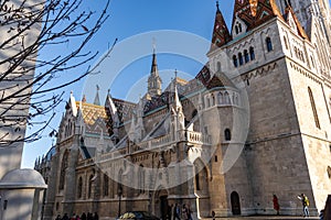 Matyas temple with a tree in Budapest photo