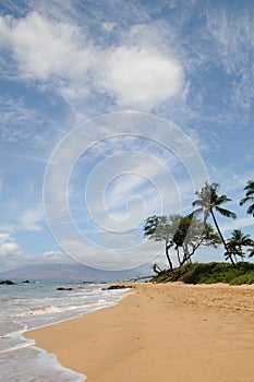 Maui Beach Hawaii