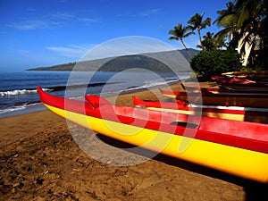 Maui Canoes