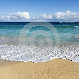 Maui, Hawaii beach.