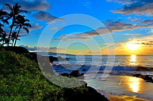 Maui Hawaii Beach Sunset with palm trees