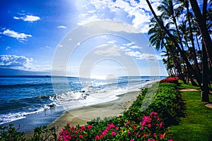 Maui Kaanapali Beach Bright Sunlight