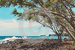 Maui - Ke`Anae Peninsula
