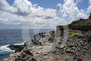 Maui Rocky Coast