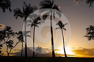 Maui sunset