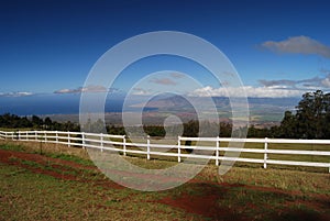 Maui Upcountry photo