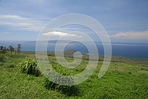 Maui Upcountry Landscape photo