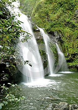 Maui Waterfall