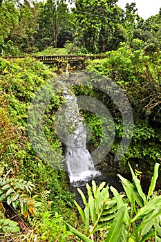 Maui Waterfall and Bridge