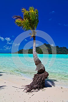 Maupiti beach, Tahiti island, French polynesia, close to Bora-Bora