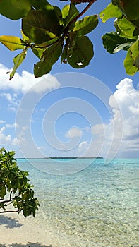 Maupiti island, blue lagoon, volcanic island , green vegetation on the beach of bora French Polynesia