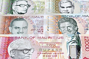 Mauritian rupee a business background