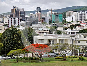 Mauritius Island, Port Louis City