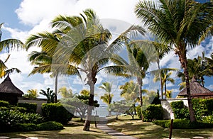 Mauritius - luxury resort