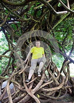 Mauritius. teenager sits on stranding of large wood roots