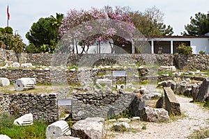 Mausoleum at Halicarnassus